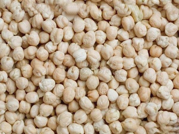 Chickpeas