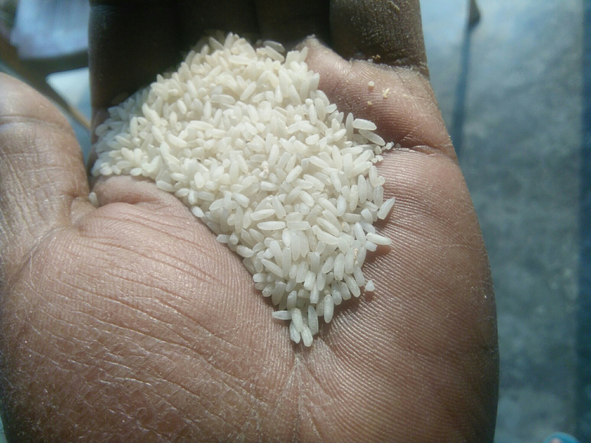 Ankur Rice 