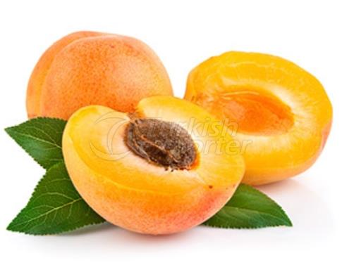 Apricot