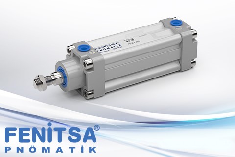 Pneumatic Cylinder