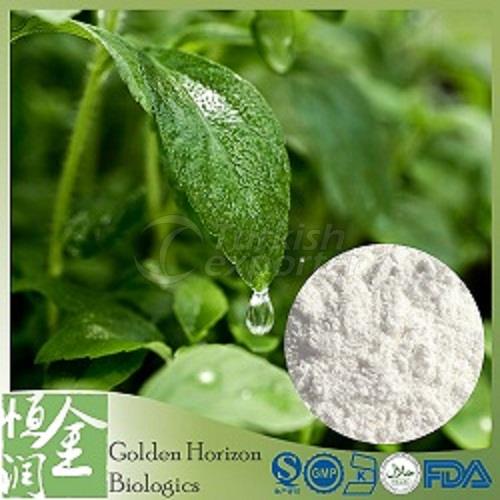 High Quality Stevia Extract Powder