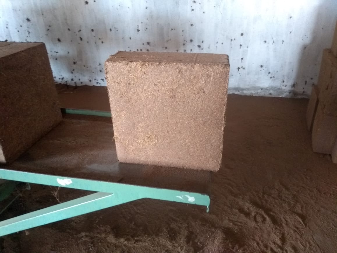 COCO PEAT BLOCK 5Kg