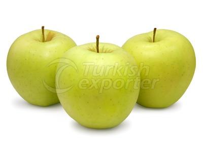 Apple Golden Delicious