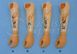 Prosthesis