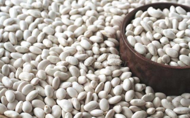White Beans