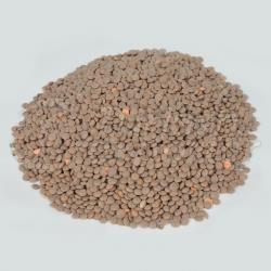 Turkish Origin Red Whole Lentil