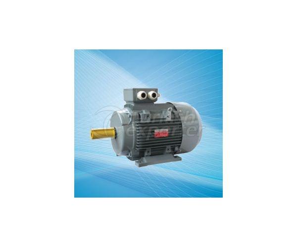 Cast Iron Electric Motors