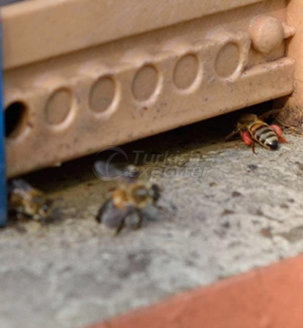 Produits d'abeille