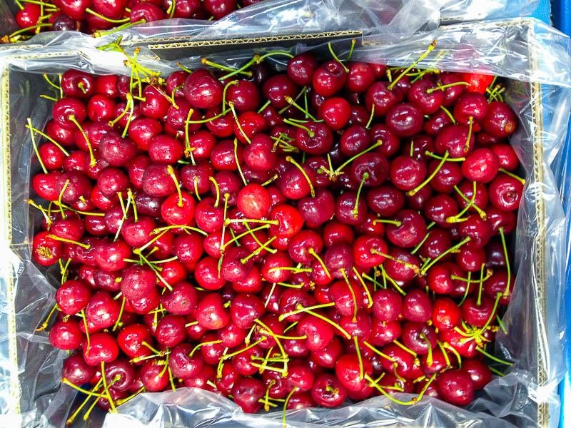 Fresh New Season CHERRY ready for EXPORT During 2 Months 