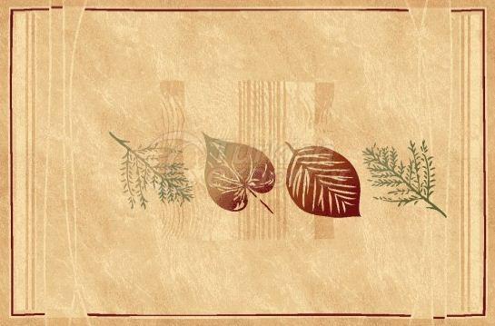 Carpets Vision 8686A