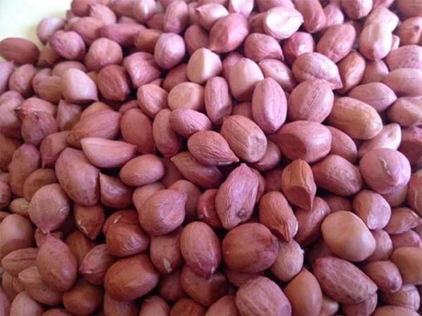 Peanut seeds