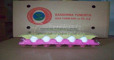 White Cover Egg 30'lu