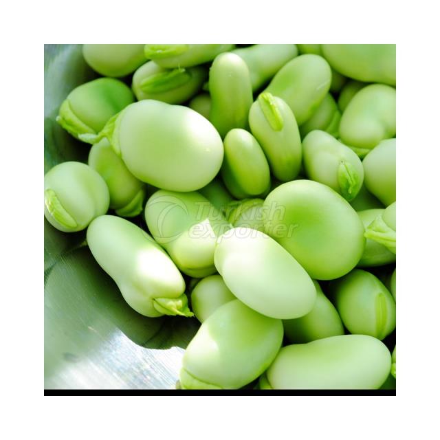 Broad Bean