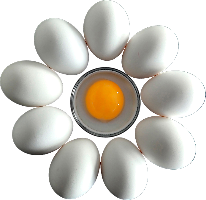 White Egg