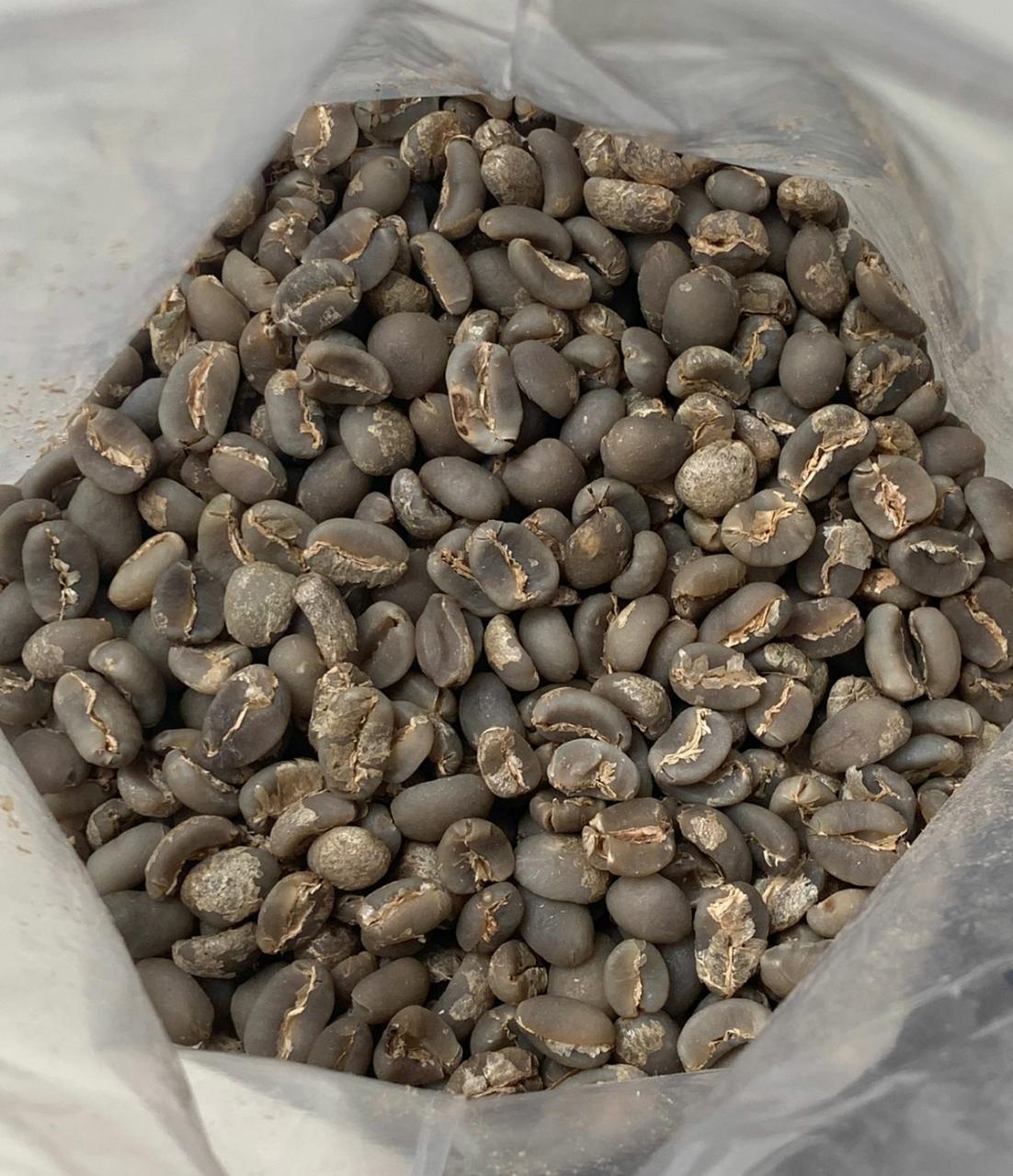 Arabica Aceh Gayo Grade 1