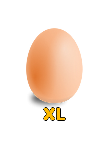 XL Size Egg