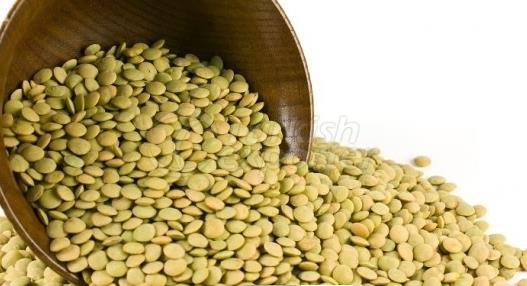 Lentils