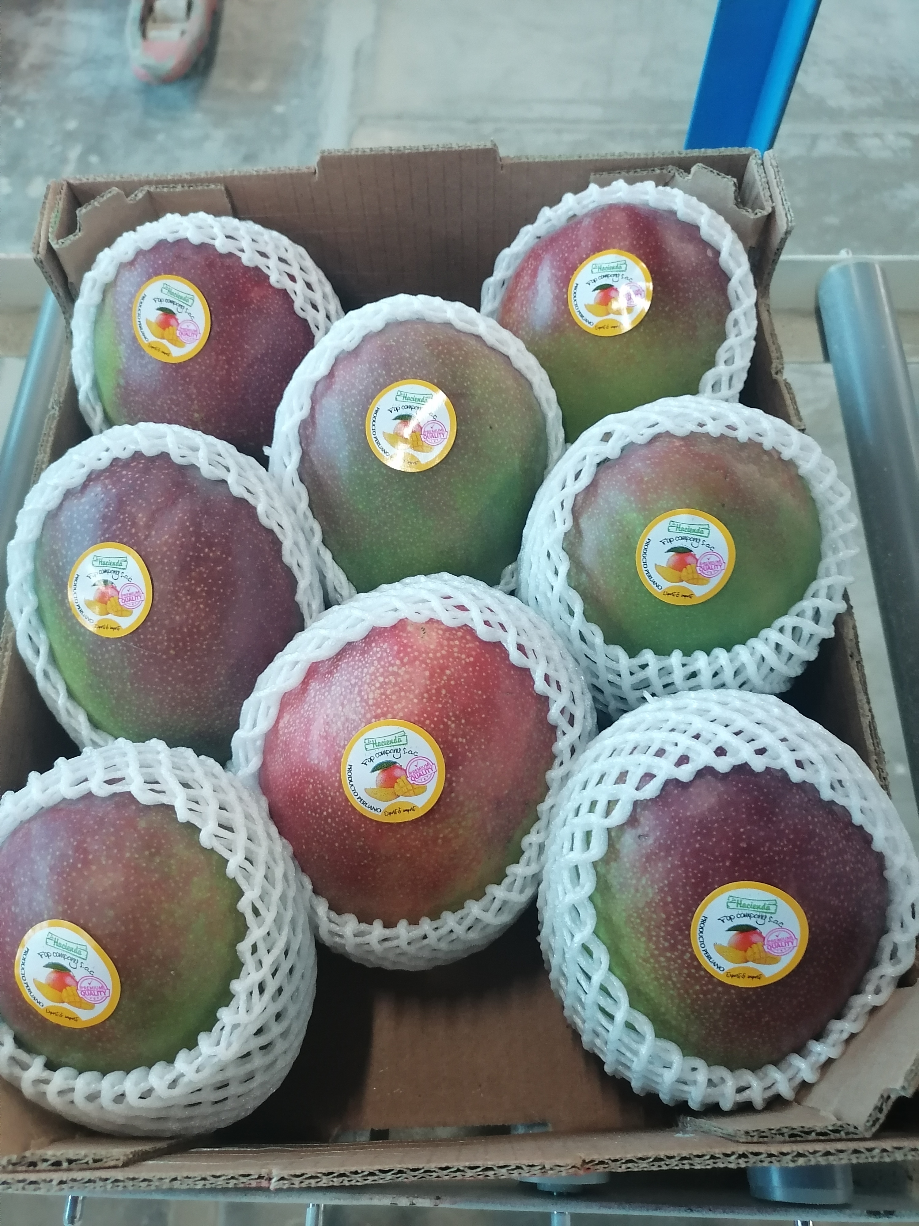 Fresh mangoes