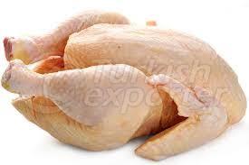 Chicken Meat