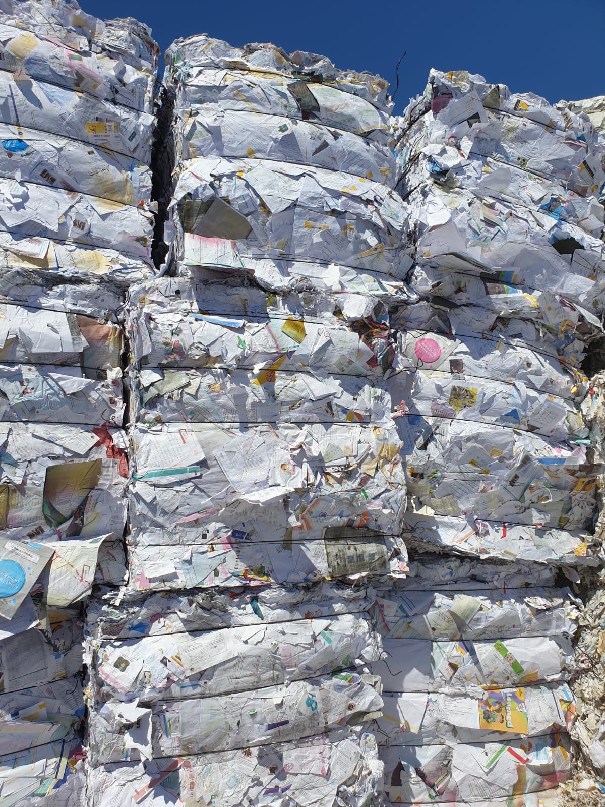  Shredded White School Books