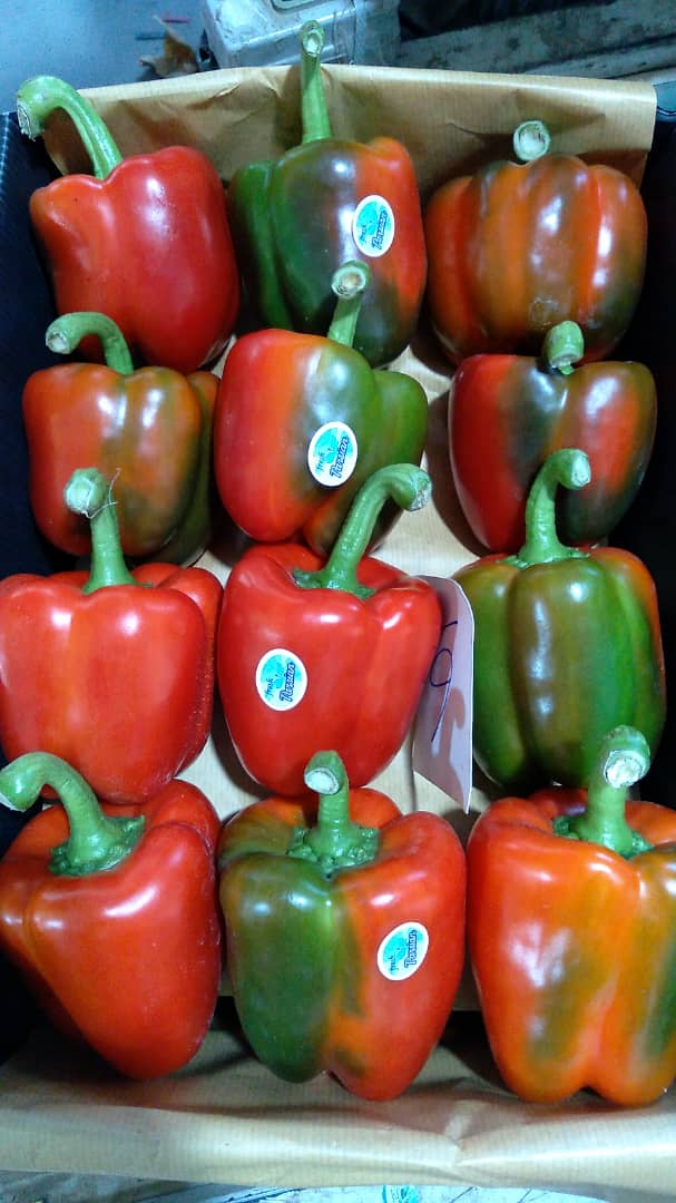 fresh bell sweet pepper