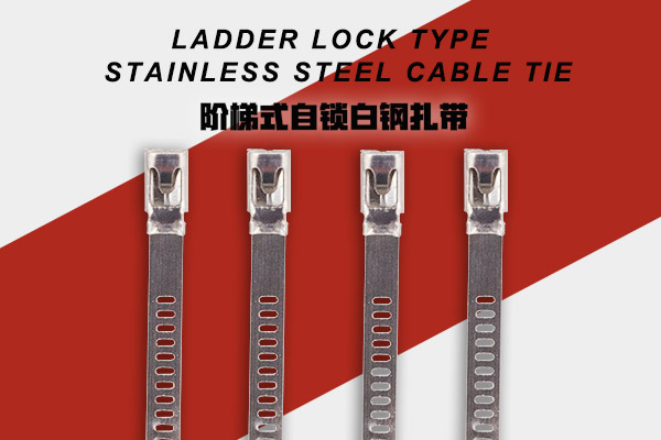 304 Naked Stainless Steel Cable Tie Ladder Lock Type