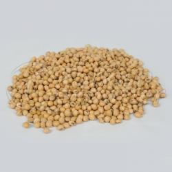 Ethiopian Origin Soya Bean