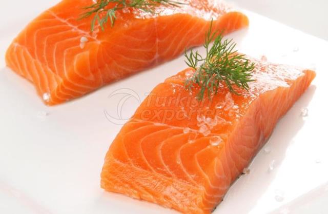 Salmon