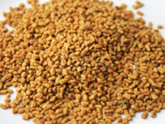 Fenugreek Seeds