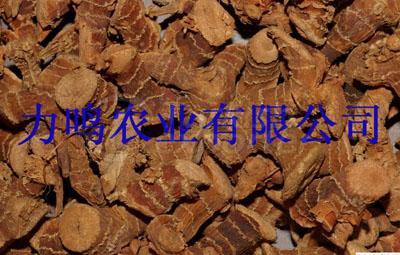 Sell galangal root --Direct Origin