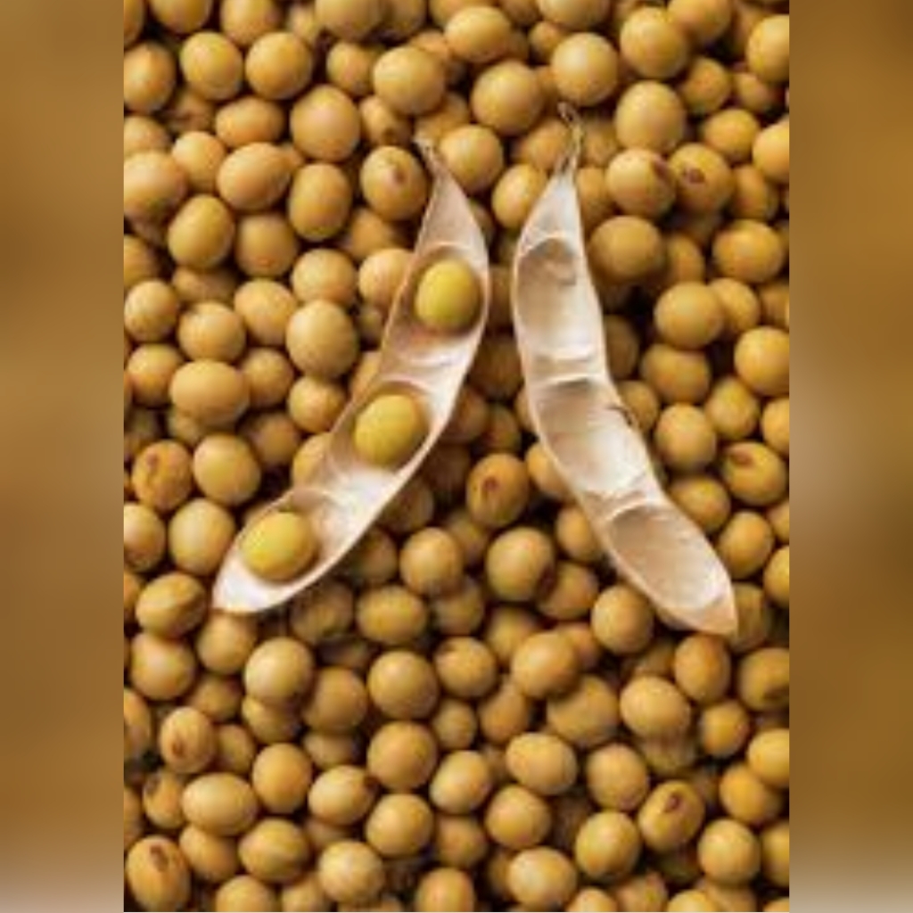 Soybeans