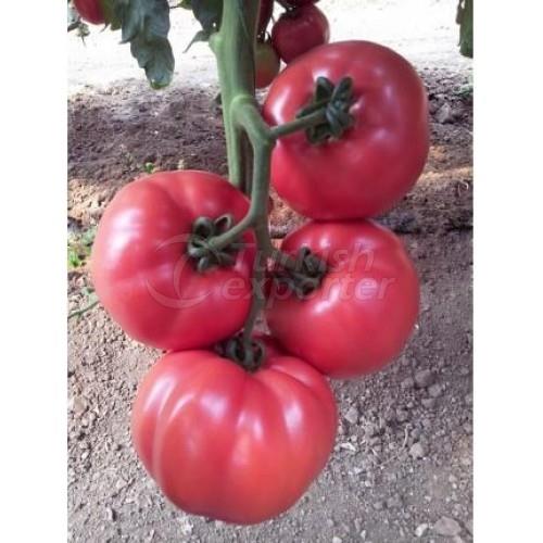 Pink Tomato