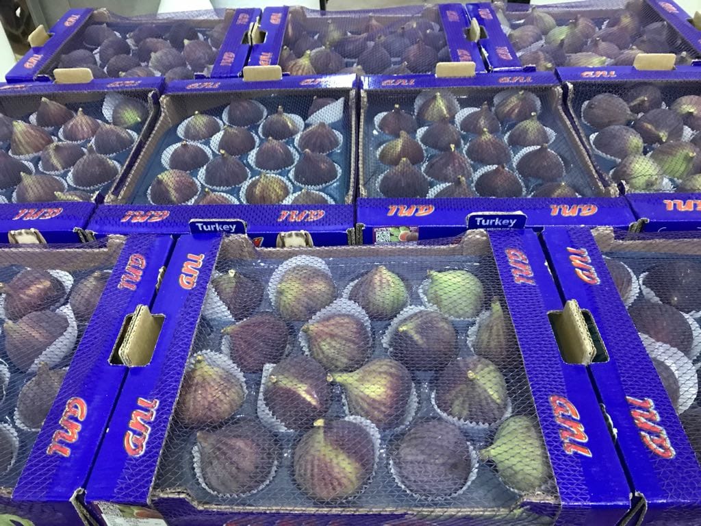 Fresh fig