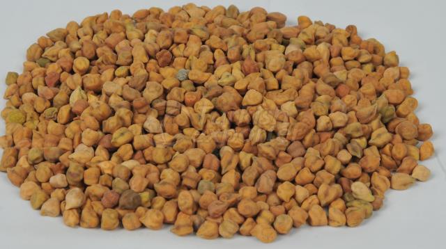 Ethiopian Origin Desi Chick Peas