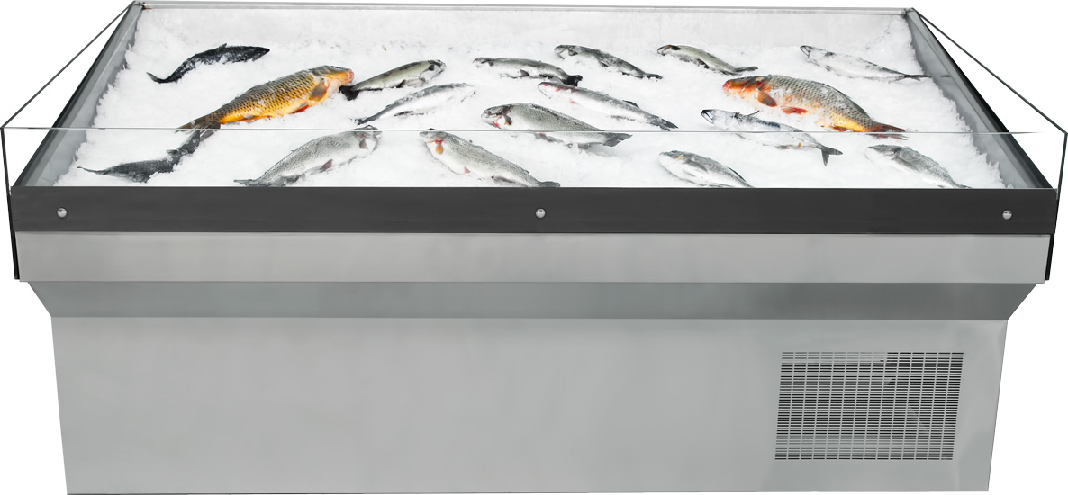 SNOWFLAKE	fish showcase