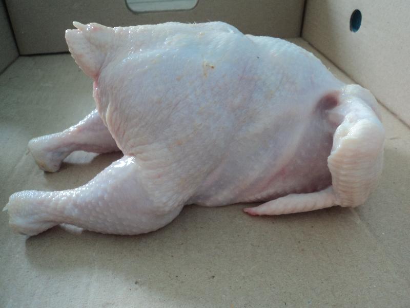 Frozen Whole Chicken-Halal