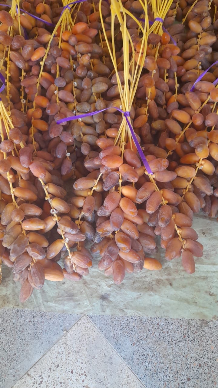 Deghlet Noor Dates