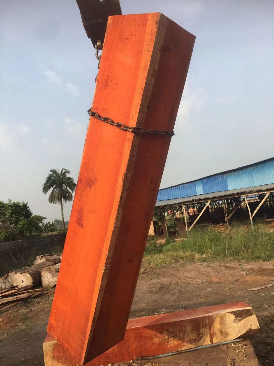 Padauk square logs