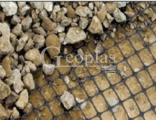 Geogrid