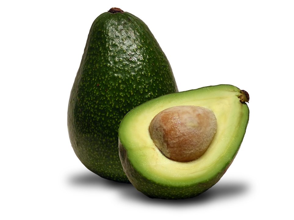 Avocado (Persea americana)