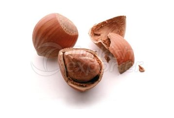 Hazelnut In Shell