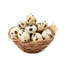 Quail Egg