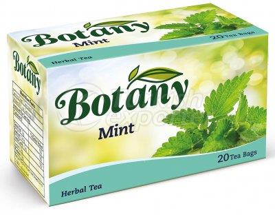 Té de hierbas