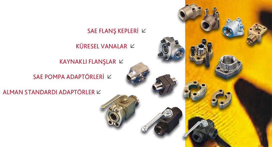 Flanges - Adapters