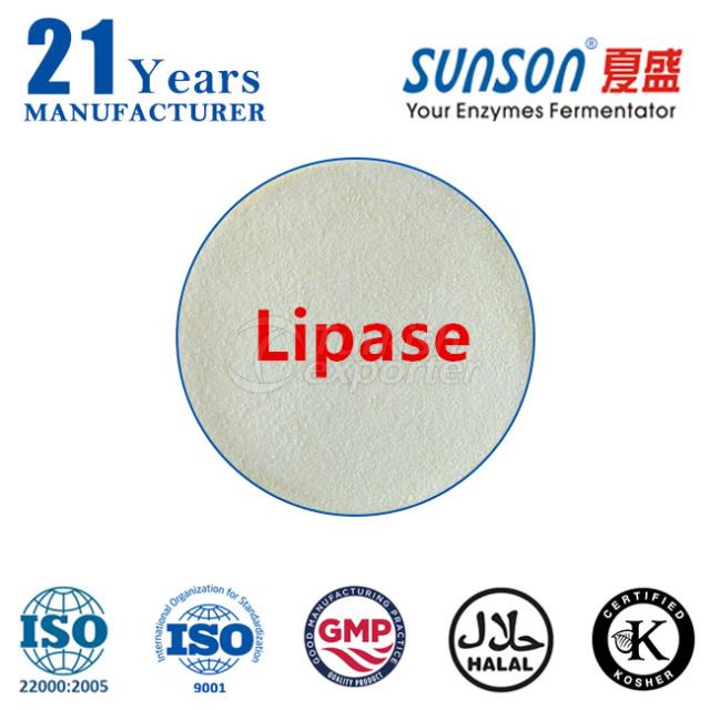 Lipase enzyme for bread improver