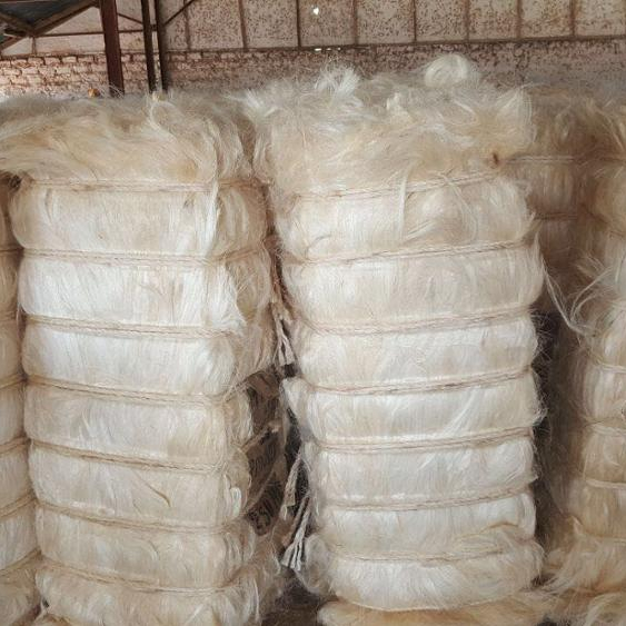 Sisal Fiber