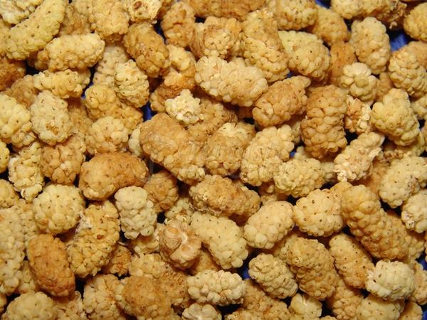 Dried Mulberry