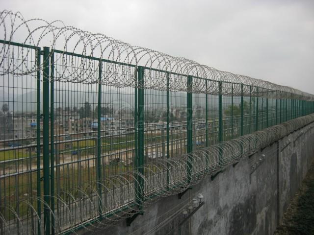 wire mesh fence