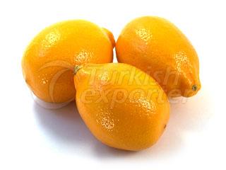 Mayer Lemon