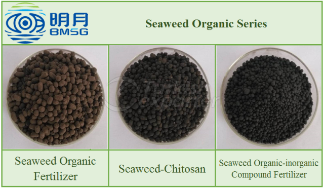 Seaweed extrtact fertilizer